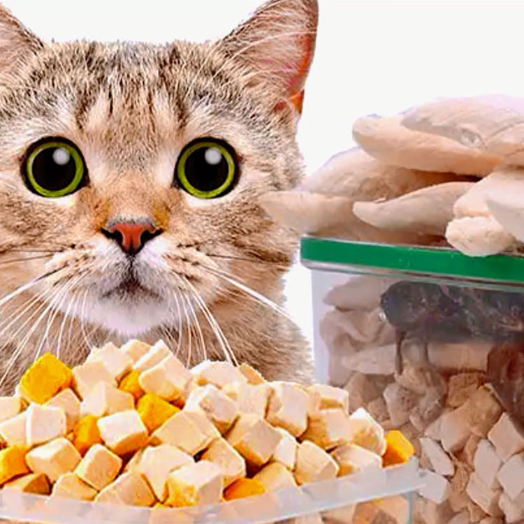 OEM/ODM Customized Cat Food